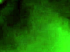 Danny, you're getting punished in the garage now.