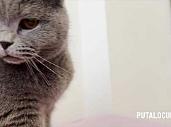 brunette with natural tits gets shaved pussy licked while reading, ends in cumshot