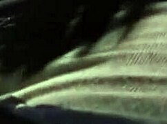 Real Hooker Gives Car Blowjob!