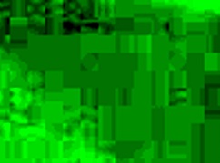 bbc pounds ebony in doggystyle fucking!