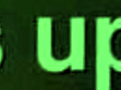 bbc pounds ebony in doggystyle fucking!