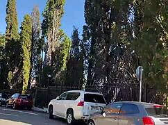 Widow Lures Three Guys Into Haunted House For Wild Fucking.