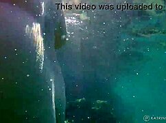 bbw flashes hairy pussy nude outdoors in public