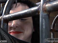 Exploring free sadomasochism erotica in a dark tale