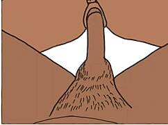 African couple engages in intense fucking during drawing session part 2