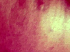 sundaydogood614 update 99 video from march 11 2024 with shaved details!