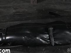 Hotty Receives A Neck Collar And Legs Widen Wide Open