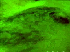 asian brunette relaxes with oral interracial cock sucking