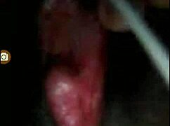 let's explore egypt together