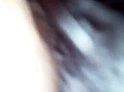 cristal chavez my girlfriend sucking balls and dick