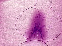 animation on paper with pens and pencils hentai anime hunter x hunter menchi cartoon porn 2d sex