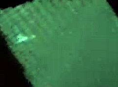 cogidita shares a gay moment