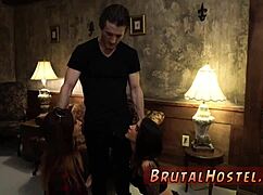 Felicity Feline Binds Young Tourists Outdoors