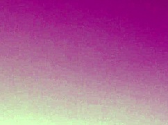 Bareback fun with Brazilian guys at the holiday gala