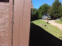 Hunter Tracks Down Big Booty PAWG with Rabbit Toy for Wild Action