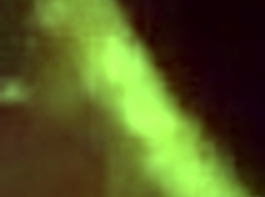 licking ass and pussy