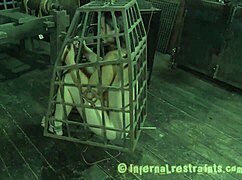 Why is that brunette masturbating for a stranger she likes?