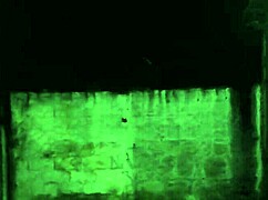 i called the electrician to fix my tv and we had fun