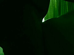 i cant believe this bbw anal assfucking in hotel room