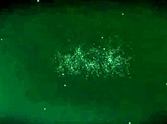 Erotic bed blowjob cumshot 💦