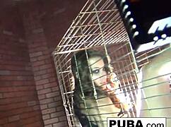 Sexy Dani Daniels a Trapped Bitch Inside a Dog Cage