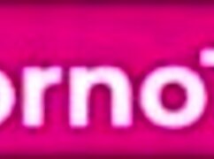 Intensive Yoga Training For Fitness Enthusiasts