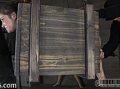 I love the intense sadomasochism fucking that drives me wild.