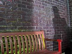 I WATCHED LEXXXI TYLER AND MICHELLE THORNE DOIN LESBIAN ASS LICKIN