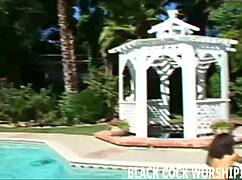 two huge black cocks gonna tear my holes up