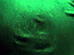 how easy i have the little tail