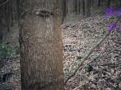 TATIANA MORALES GETS EATEN BY THE WOLF!