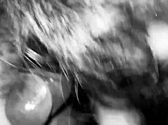 shemale noir in interracial amateur homemade scene