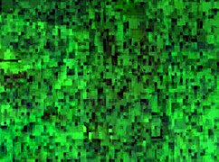 Wife And Stepmother Play Erotic Game