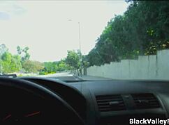 Ebony Street Pickup Casting