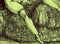 Vintage erotic sketches with a bold sensual edge