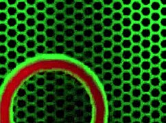 Nina Kayy’s Big Clit And Pussy Lips Licked In Lesbian Action