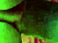 Amateur Home Video Featuring Everyday Moments