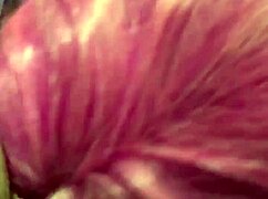 Amateur Home Video Featuring Everyday Moments