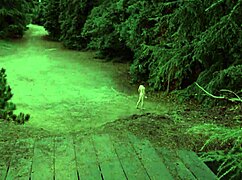 Sexy Blonde Nude Girl With Hairy Boobs In Car Outdoor.