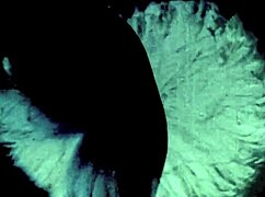 dark lantern entertainment unveils vintage taboo family fantasy with shaved pussies and forbidden desires.