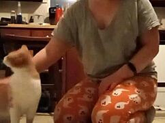 promotional fetish compilation for curious followers.