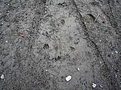 yngr becca pierce hikes and fucks outdoors with teen passion 😍