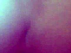 amateur trios in quito