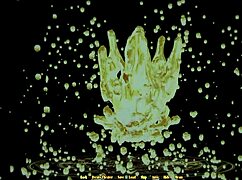 Champion of Realms with Harem Magic and Monsters