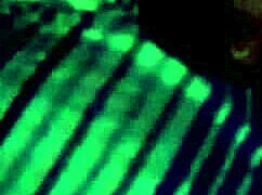 Watch Yorgelis Kent and Erika Schwarzenberg in part three?