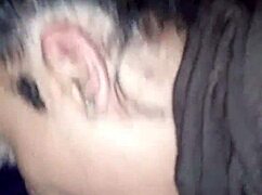 Sloppy Blowjob Swallow In Car