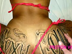 fucking the young pussycat girl athena queen in anime hentai style