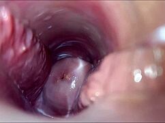 just a wild VAGINAL ORGASMO in hentai