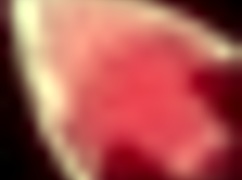 Honeysun walkthrough hgame