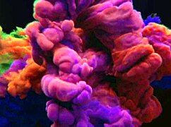 touched myself during lunch break